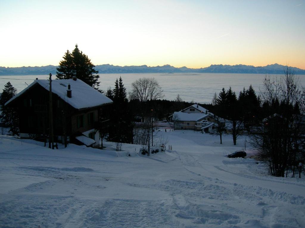 Le Coucou Et Chalet Beau-Site Hotel Les Rasses Exterior foto